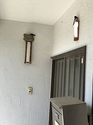 まり まり