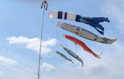 0b2a9ad966f383906e6e9b5d83760711