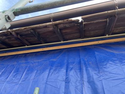 104bc4277909982d3aec383b57ce2f53