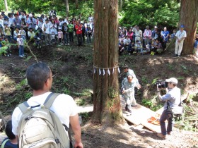 ユキトシ2016新潟伐採ツアー