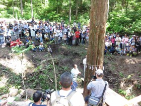 ユキトシ2016新潟伐採ツアー