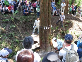 ユキトシ2016新潟伐採ツアー