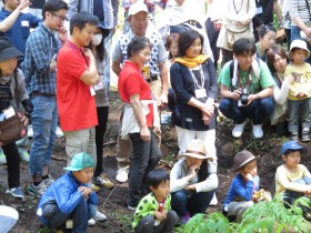 ユキトシ2016新潟伐採ツアー