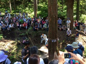 ユキトシ2016新潟伐採ツアー