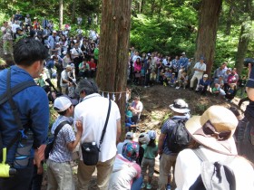 ユキトシ2016新潟伐採ツアー