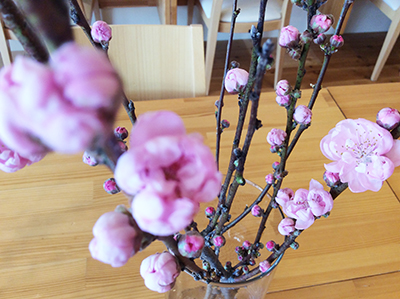 桃の花1IMG_64131IMG_6408 桃の花