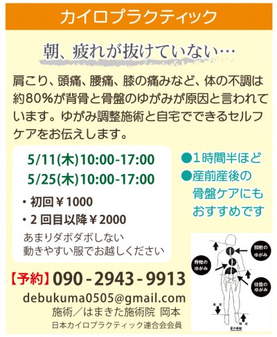 木育広場でカイロプラクティック 木育広場でカイロプラクティック