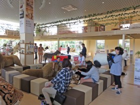 ユキトシ2016新潟伐採ツアー ユキトシ2016新潟伐採ツアー