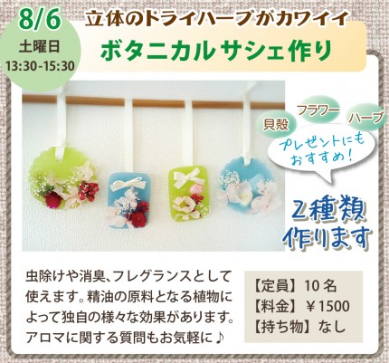 木育チラシ2016年7月8月 木育チラシ2016年7月8月