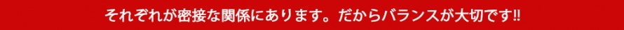 バランスが大切 バランスが大切