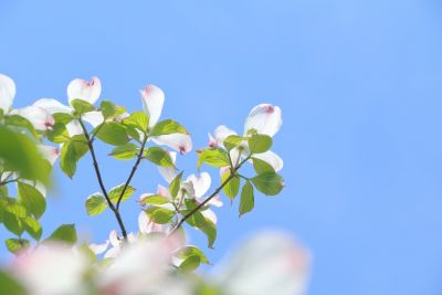 5b5ac30c514e43fdbe352a6747dfc797