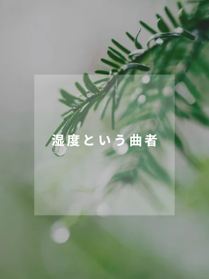 69bf6abcb0caea1857ee4f94ed84818c