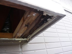 解体して腐蝕とカビを発見 解体して腐蝕とカビを発見