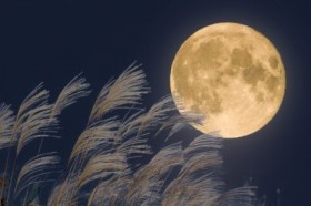 78ee866ee56fe73b5019822f11f1013b