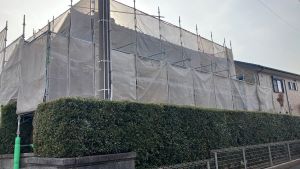 8fe739de857ab2a420f341a71a712d1d