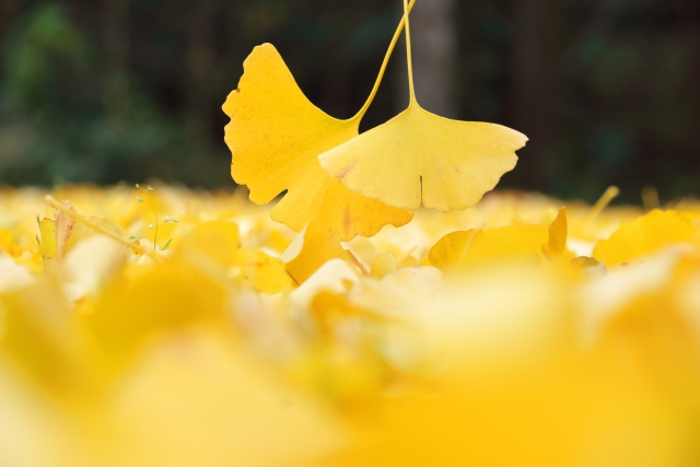 93b236297c9d3334f39353b0082533bd