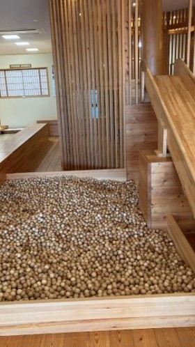 AA2A9F96-73F2-4E6D-A043-74985C001099