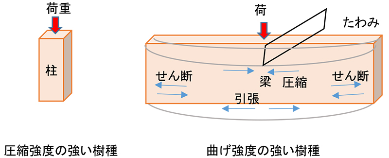 木材に関しての基礎知識