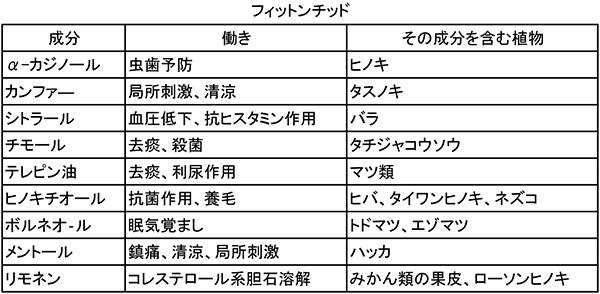 木材に関しての基礎知識