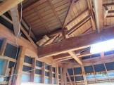 IMG_0310 IMG_0310