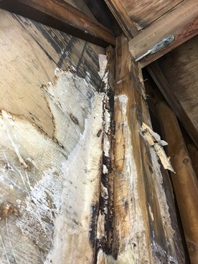 解体後に壁内部のカビ発見 解体後に壁内部のカビ発見