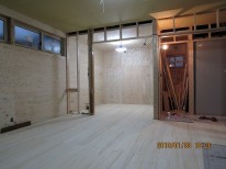 IMG_0534 IMG_0534