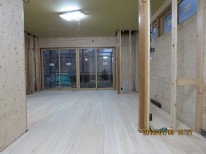 IMG_0538 IMG_0538