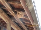 IMG_0782 IMG_07822