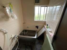 IMG_0887 IMG_0887
