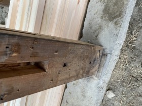 IMG_1427 IMG_1427
