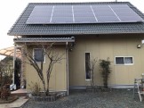 IMG_1595 IMG_15952