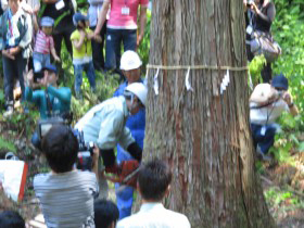 株式会社ユキトシ2015年新潟伐採ツアー