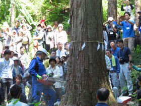 株式会社ユキトシ2015年新潟伐採ツアー 株式会社ユキトシ2015年新潟伐採ツアー