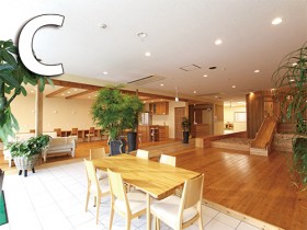 木育生活Cゾーン 木育生活Cゾーン