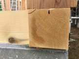 IMG_1978 IMG_1978