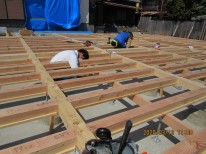 IMG_2265 IMG_2265