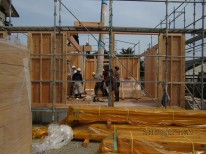 IMG_2316 IMG_2316