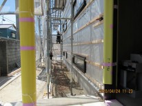 IMG_2775 IMG_2775