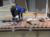IMG_2846 IMG_28461