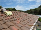 IMG_2857 IMG_2857
