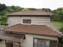 IMG_2877 IMG_2877