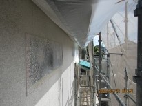 IMG_2941 IMG_2941