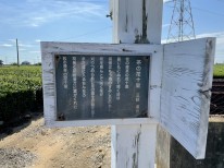 IMG_3022 IMG_3022