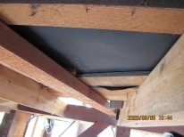 IMG_3520 IMG_3520