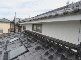 IMG_3891 IMG_3891