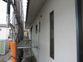 IMG_3904 IMG_3904