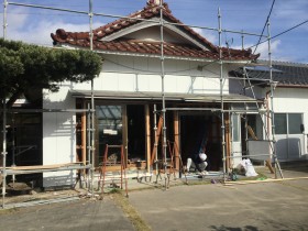 IMG_4205 IMG_42051