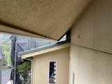 IMG_4424 IMG_4424