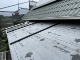 IMG_4441 IMG_4441