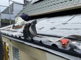 IMG_4474 IMG_4474